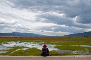 tibet diqing