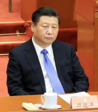 ill-tempered Xi